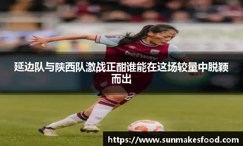 必一运动(B-Sport)用品有限公司官网